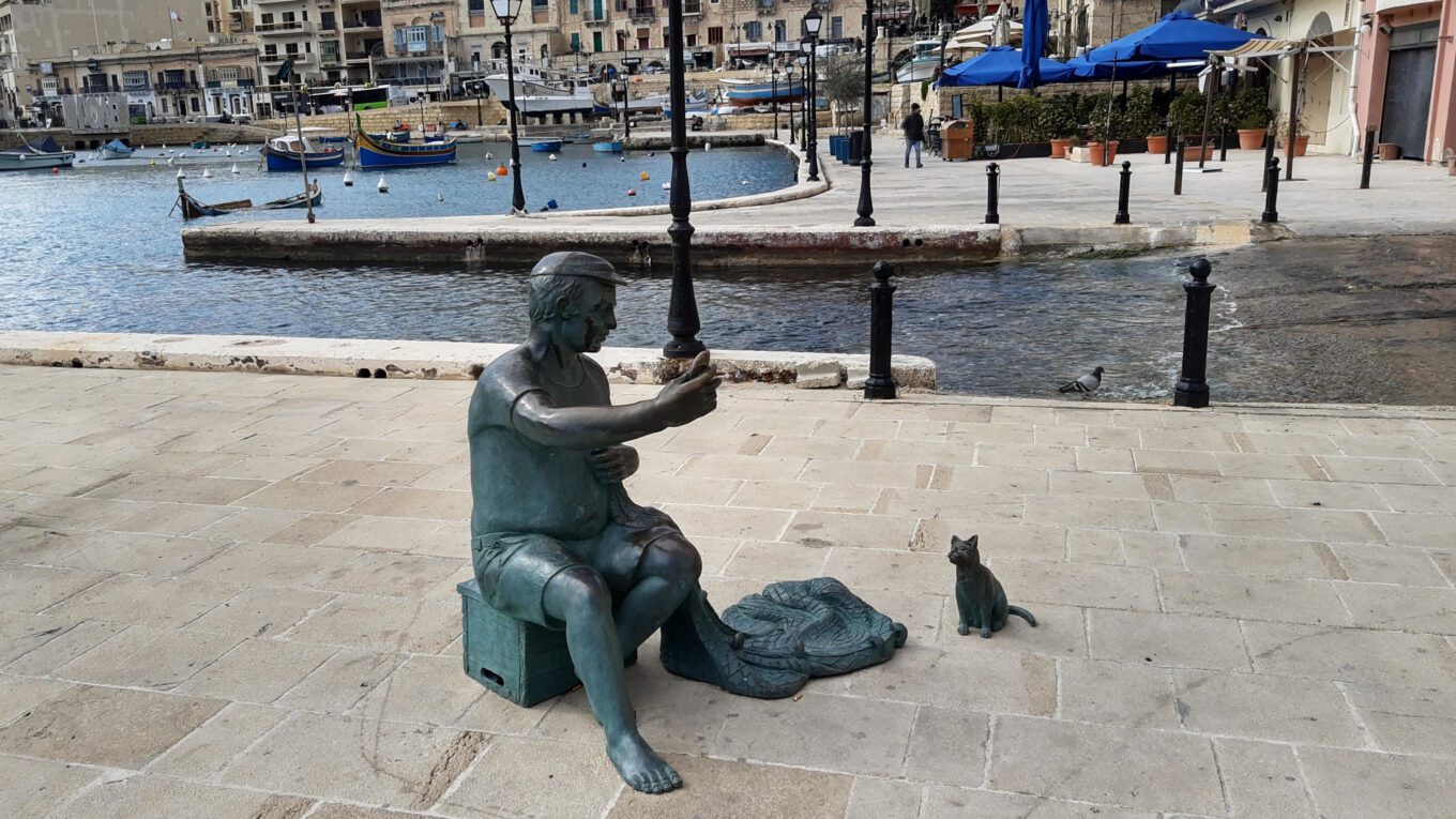 Jak budować relację z kotem?