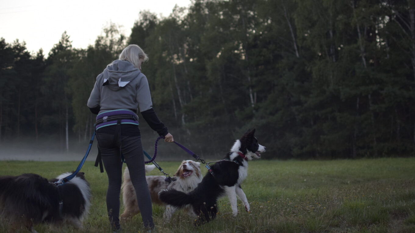 Sposoby na ciągnącego psa